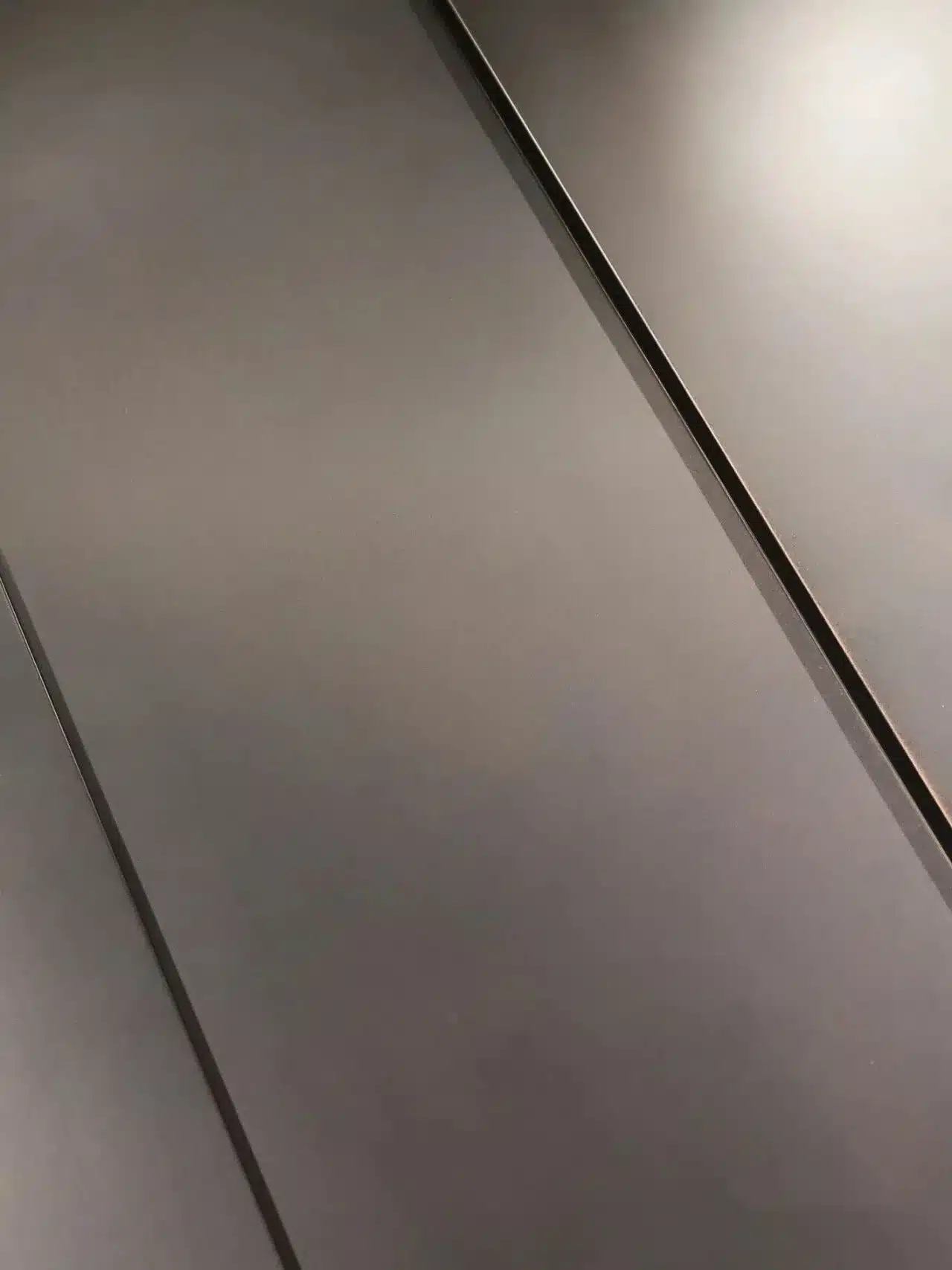 Minimalist aluminum pivot door panel design detail